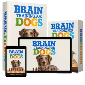 Brain Training for Dogs™ – Unlock Your Dog’s True Potential