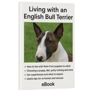 The English Bull Terrier Companion Guide